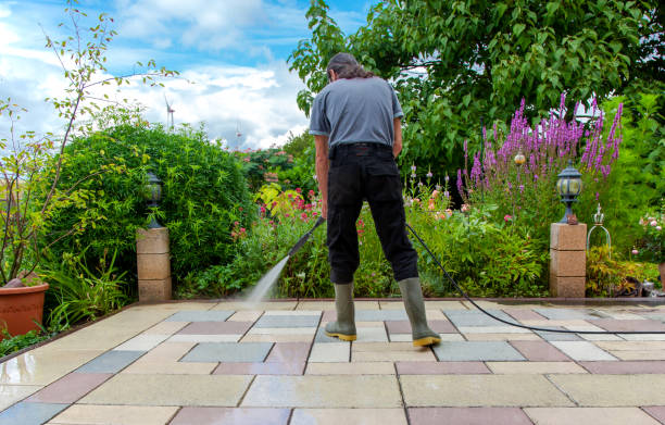 Best Brick and Stone Cleaning in Columbus, WI
