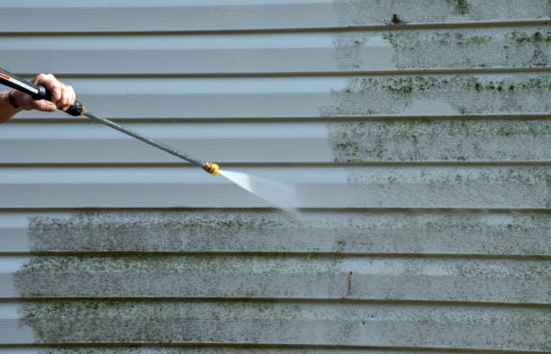 Best Roof Cleaning and Mildew Removal in Columbus, WI